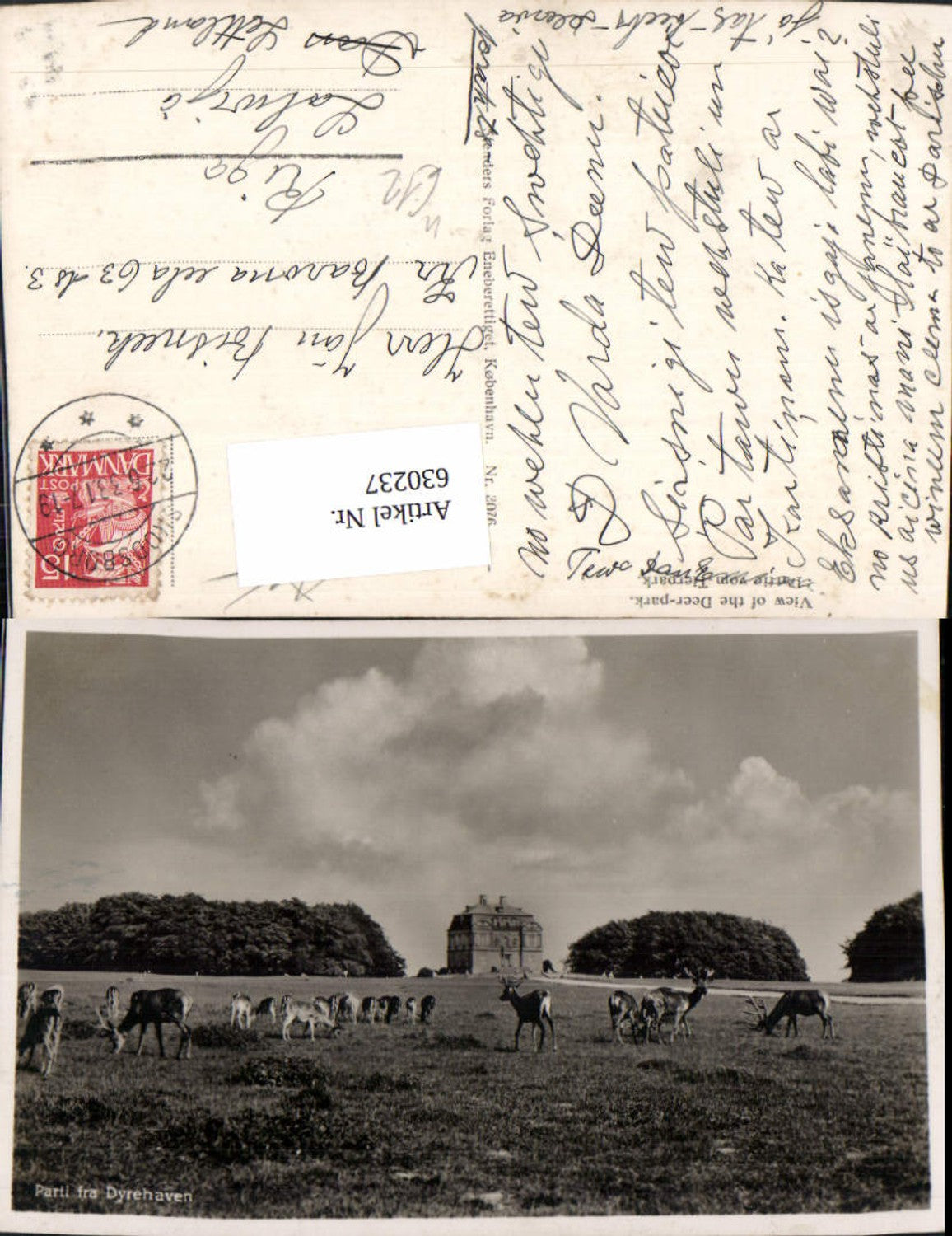 630237,Foto Ak Jægersborg Dyrehave Kopenhagen View of the Deer-park Rehe Wild Denmark