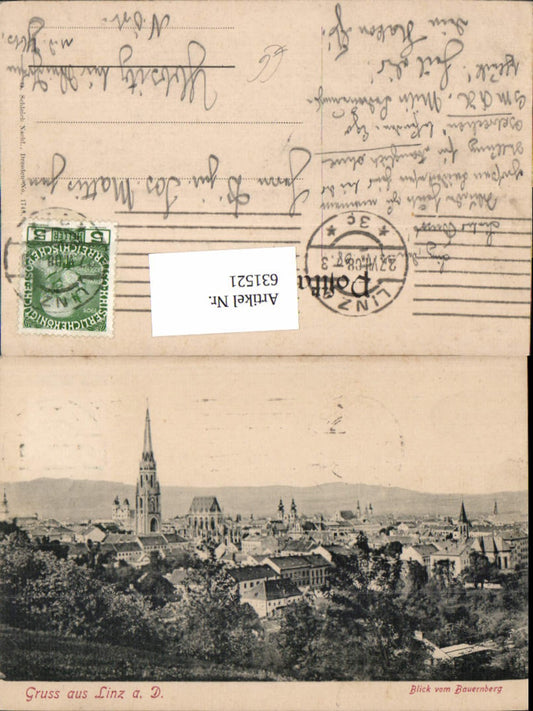 631521,Linz an der Donau Blick vom Bauernberg 1907