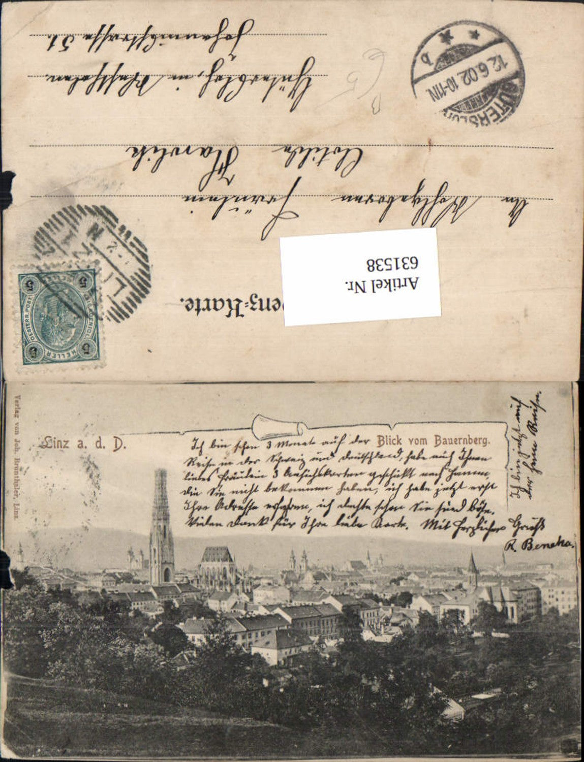 631538,Linz an der Donau vom Bauernberg 1901