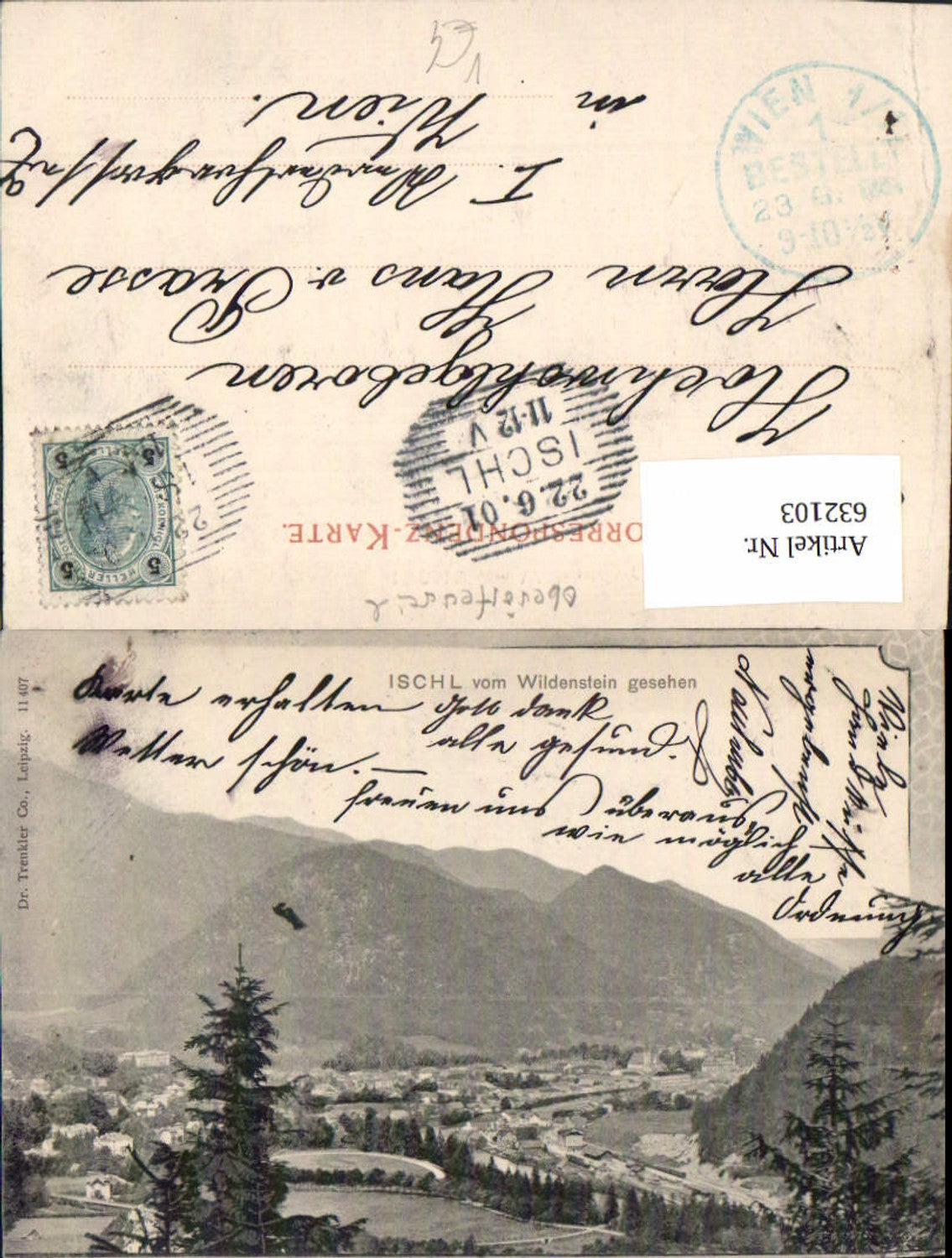 632103,Bad Ischl vom Wildenstein pub Dr. Trenkler 11407