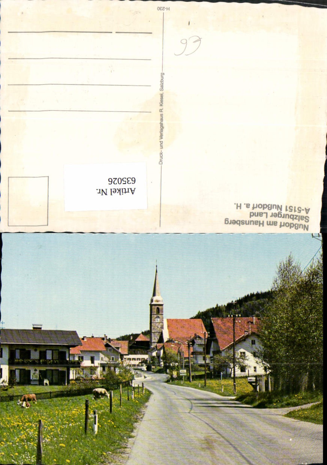 635026,Nußdorf a. Haunsberg Ansicht Dorfstraße m. Kühe Rinder Kirche