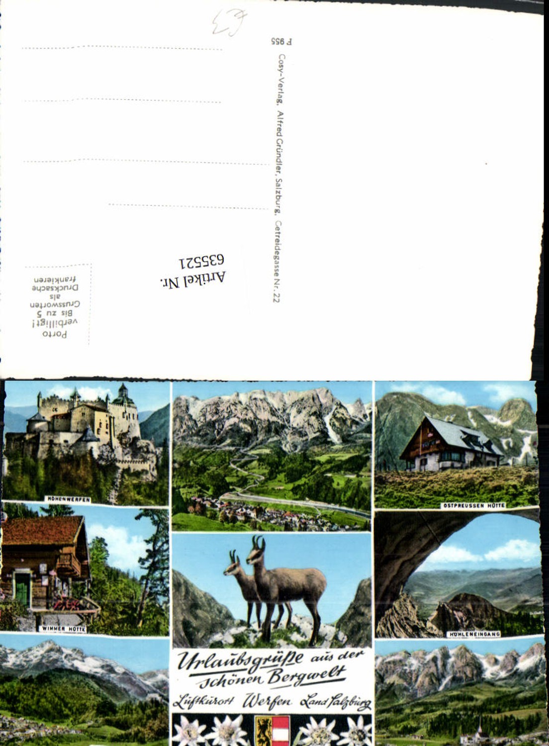 635521,Mehrbild Ak Werfen Hohenwerfen Wimmer Hütte Pfarrwerfen Gemse