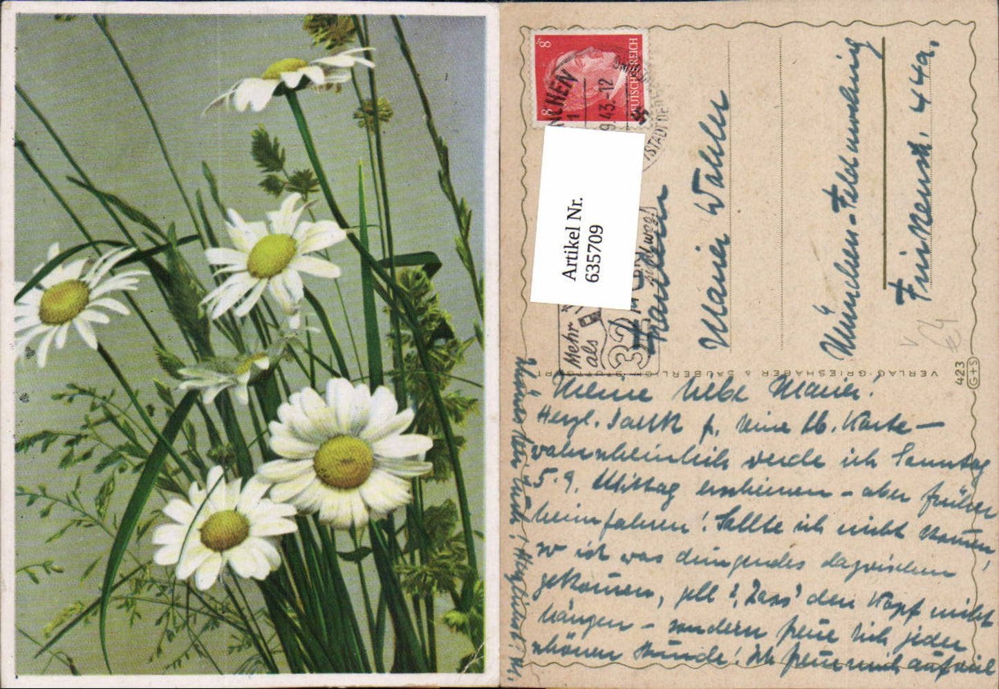 635709,Künstler Ak Margeriten Blumen pub Grieshaber u. Säuberlich 423