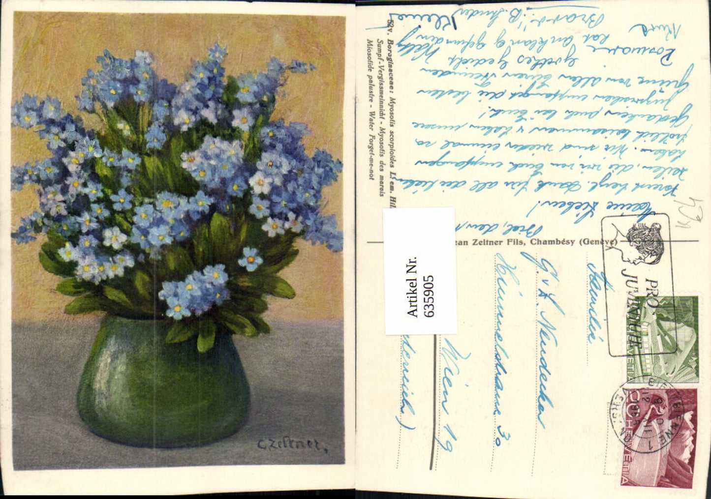 635905, Artist Ak C. Zeirner Boraginaceae Marsh Forget-me-not Flowers Vase