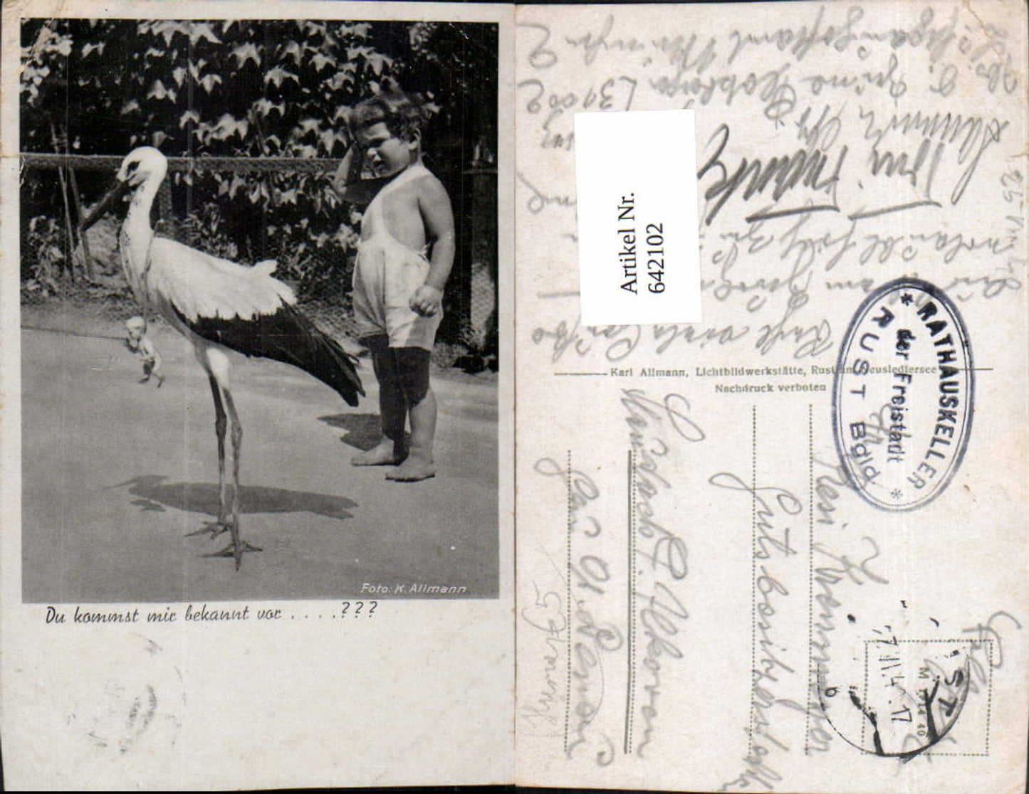 Scherz Humor Storch bringt Baby Kind sieht zu Foto K. Allmann Stp. Rust Burgenland