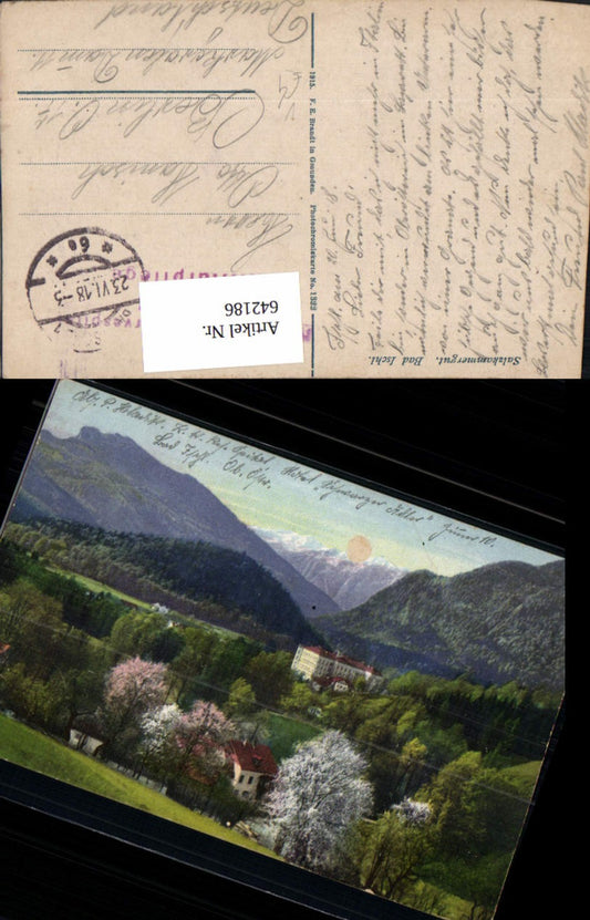 642186,Bad Ischl Salzkammergut pub F. E. Brandt 1322