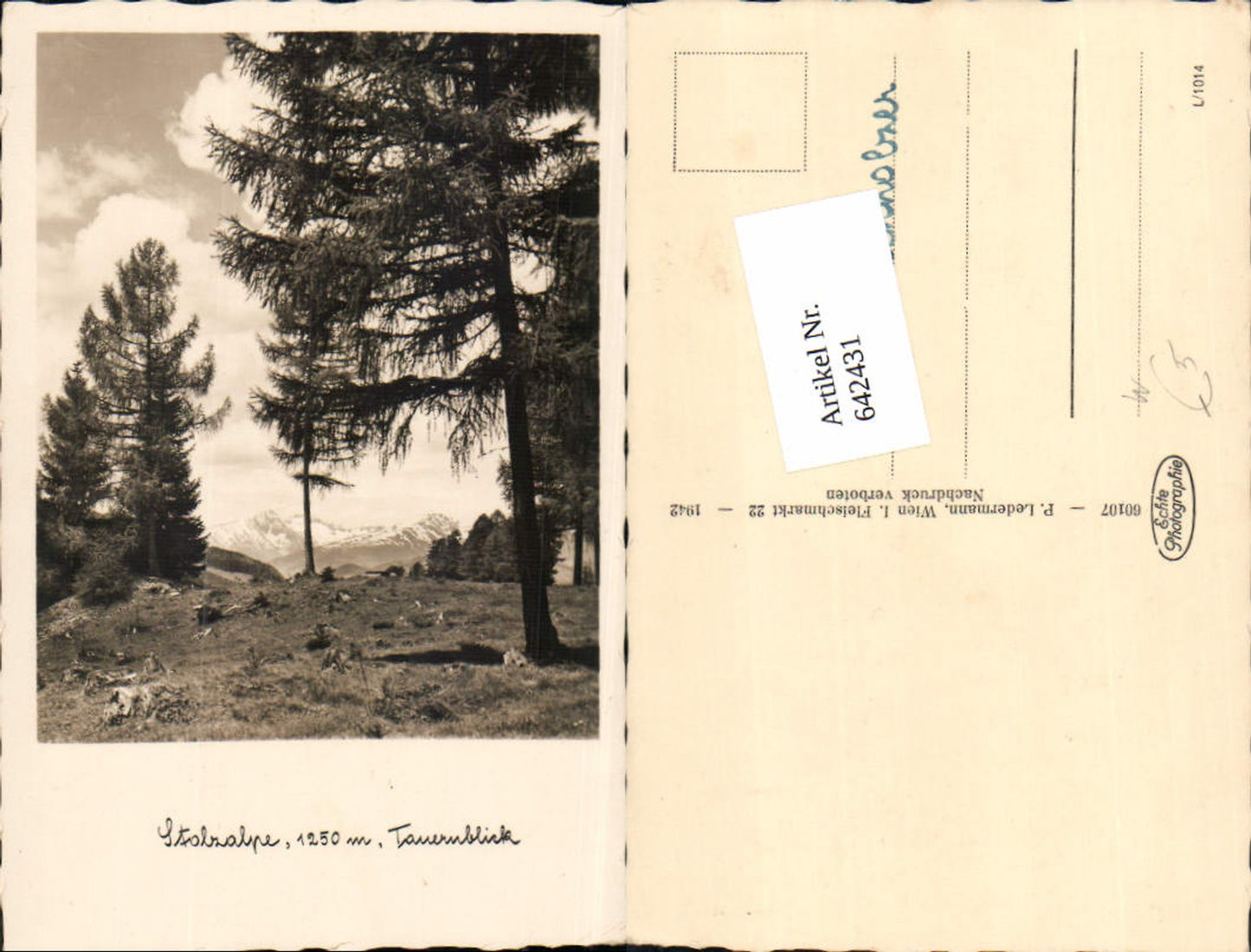 Alte Ansichtskarte – Old Postcard
