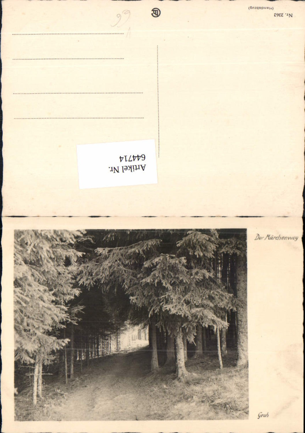 644714,Foto-AK Fotokunst Groh 2362 Der Märchenweg Wald Bäume Handabzug