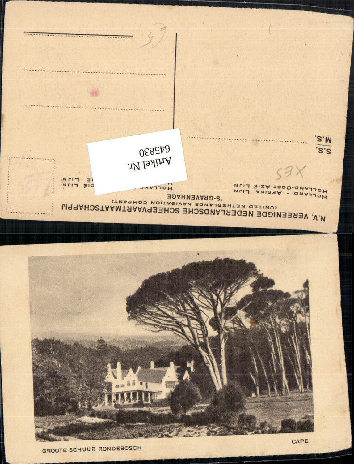 645830,South Africa Südafrika Cape Groote Schuur Rondebosch