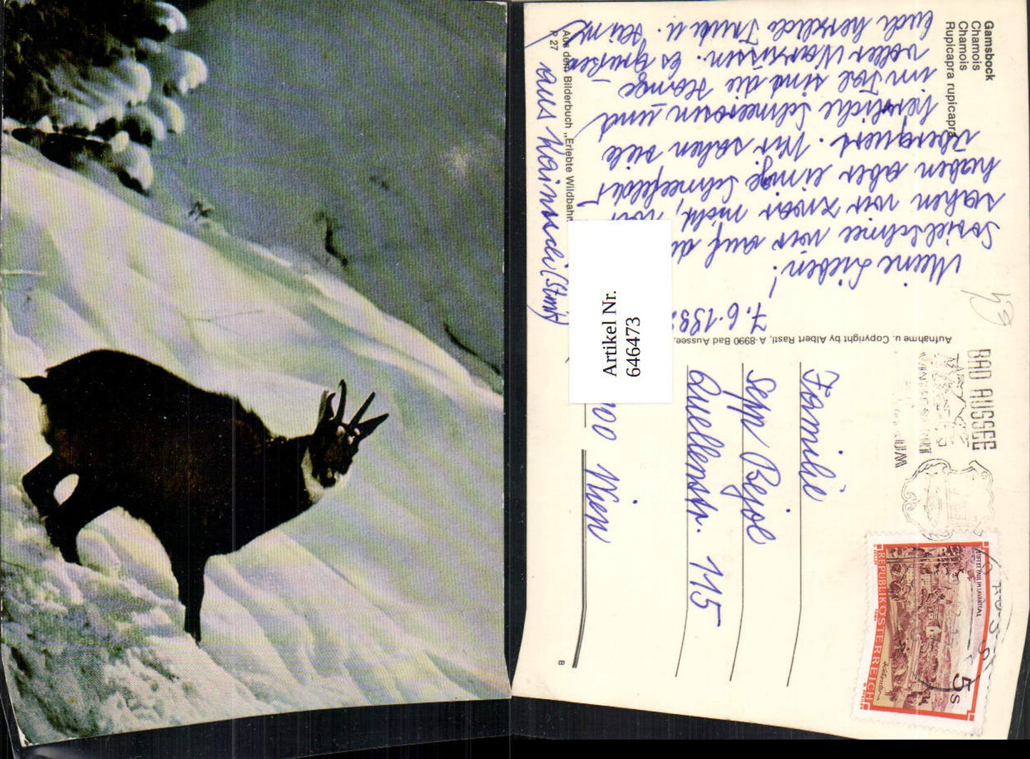 Alte Ansichtskarte – Old Postcard