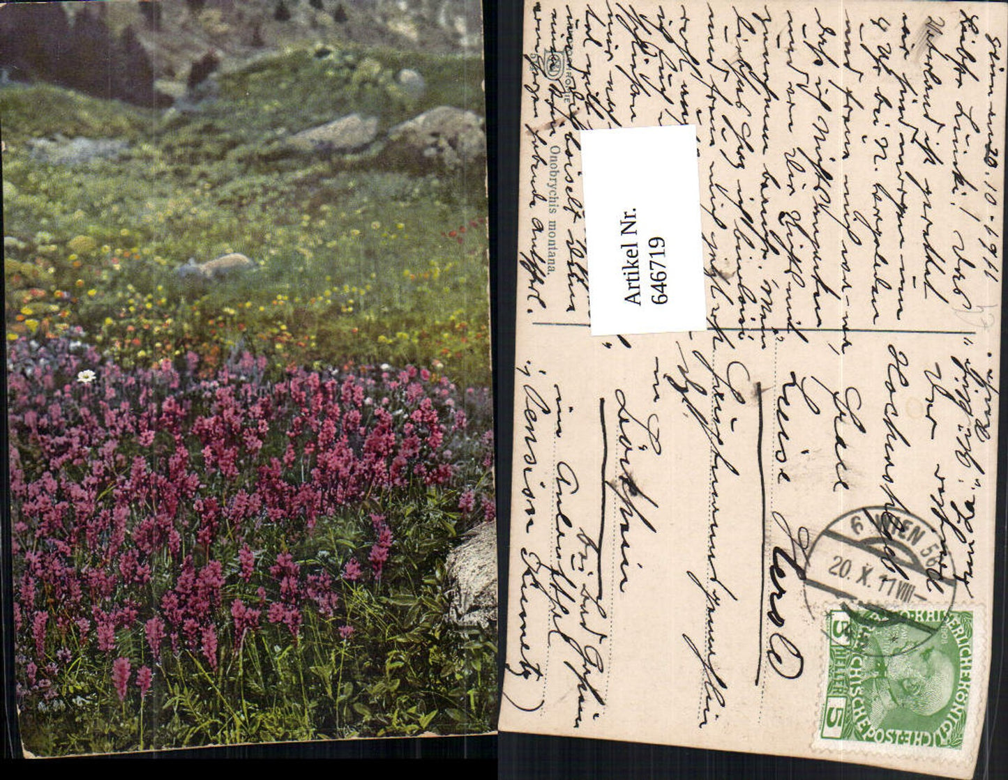 646719,Photochromie Nenke & Ostermaier 514 Onobrychis montana