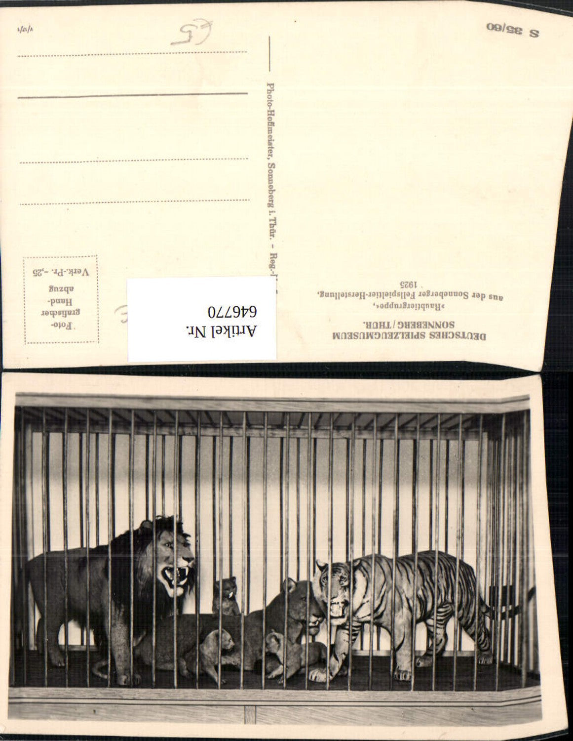 646770,Sonneberg Thüringen Spielzeugmuseum Spielzeug Raubtiergruppe Tiere Puppen
