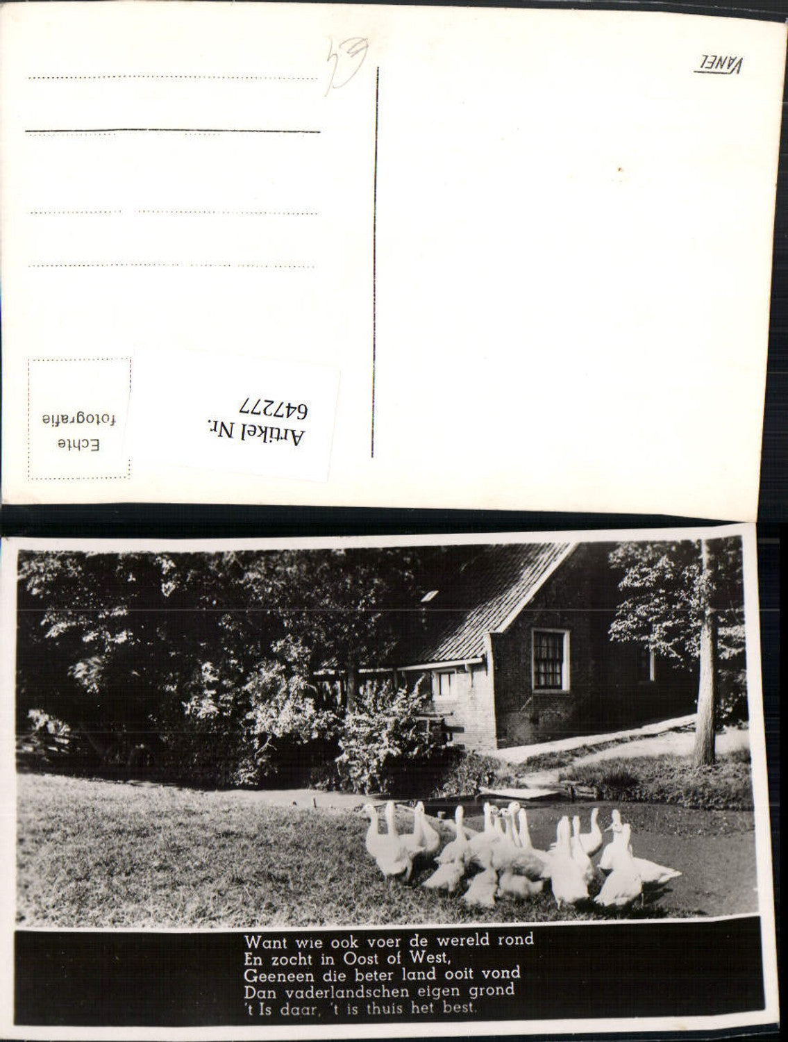 Alte Ansichtskarte – Old Postcard