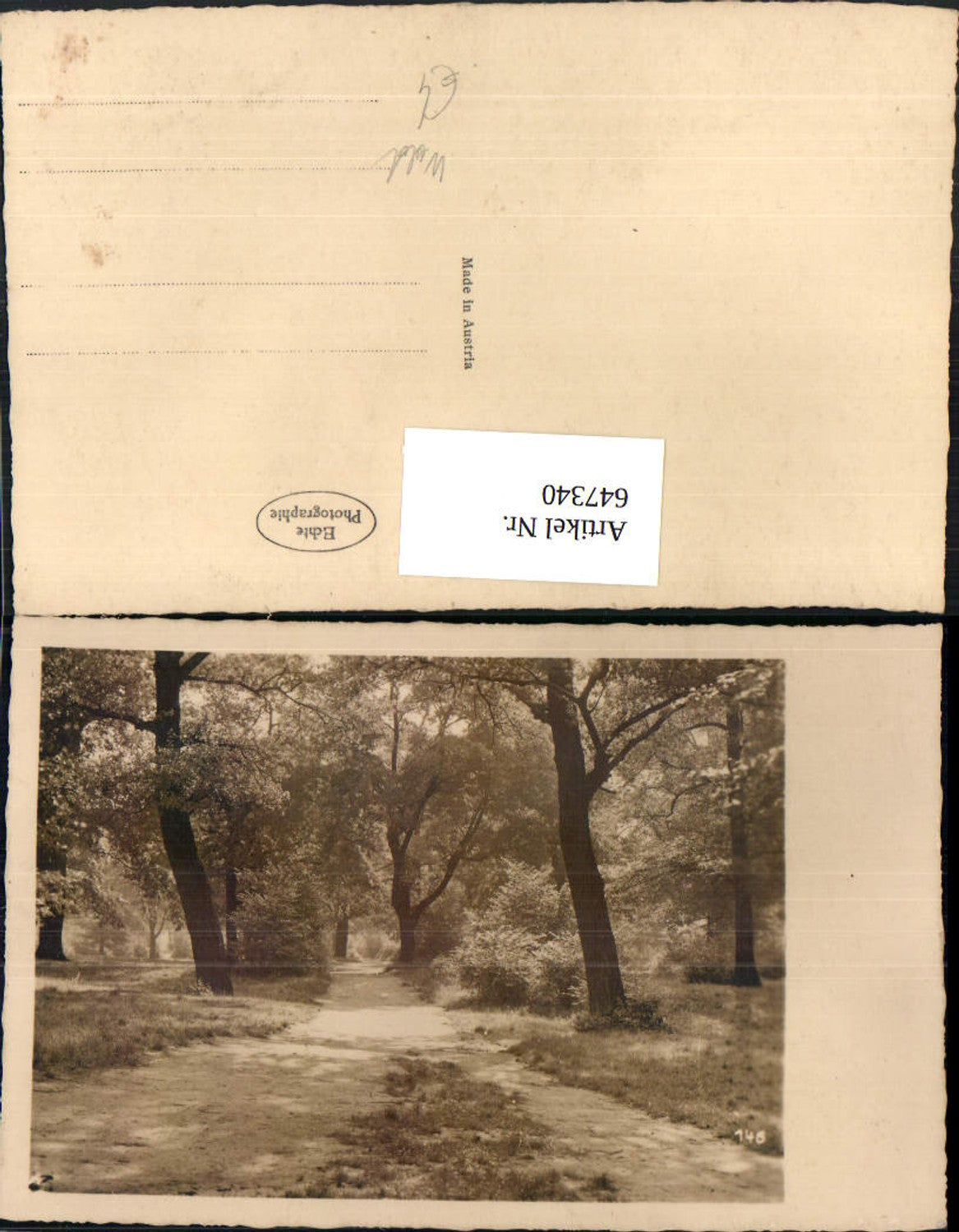 647340,Fotokunst Wald Lichtung Landschaft Bäume