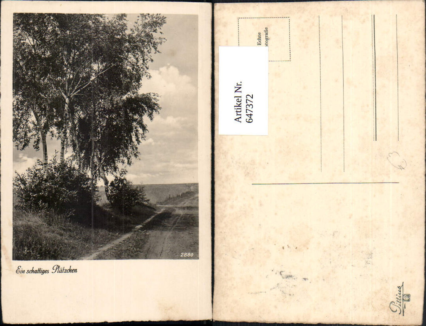647372,Fotokunst Ein schattiges Plätzchen Birken Bäume Baum Landschaft