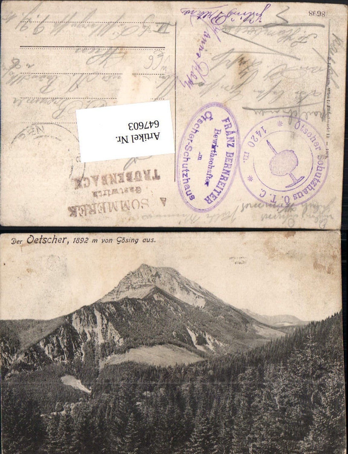 647603,Der Ötscher v. Gösing aus Mitterbach Lackenhof Annaberg