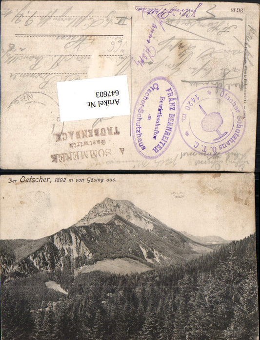 647603,Der Ötscher v. Gösing aus Mitterbach Lackenhof Annaberg