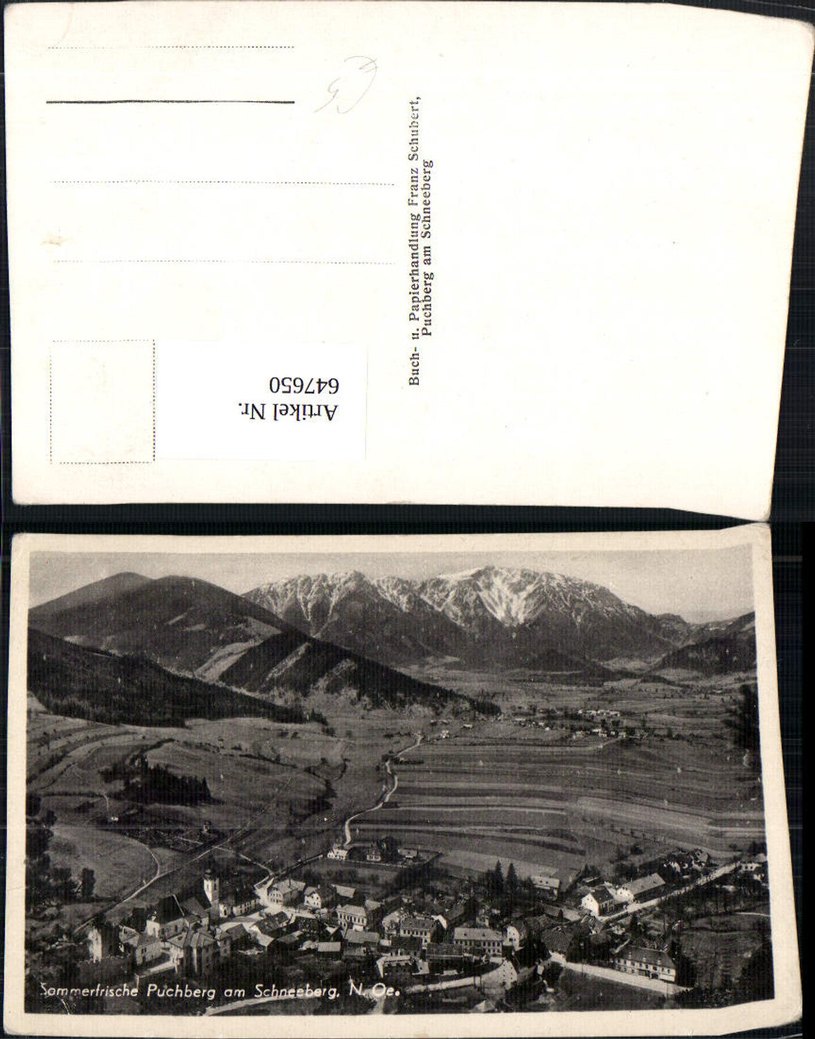 647650,Puchberg a. Schneeberg Totale