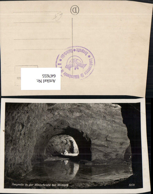 647655,Foto Ak Seegrotte Hinterbrühl b. Mödling