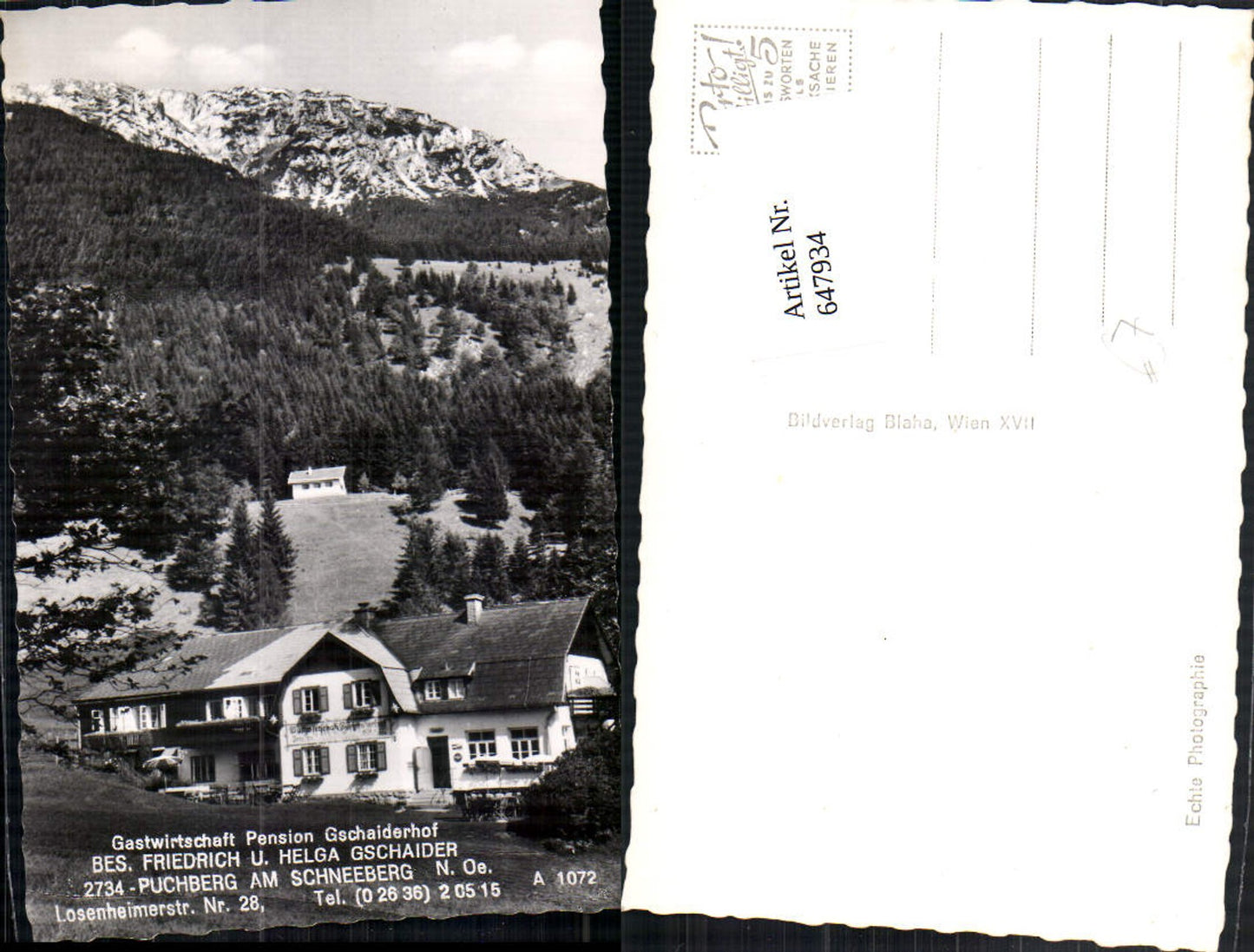 647934,Puchberg am Schneeberg Pension Gschaiderhof