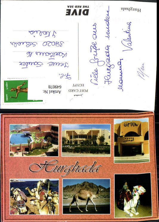 649078,Hurghada Egypt Ägypten Kamel Giftun