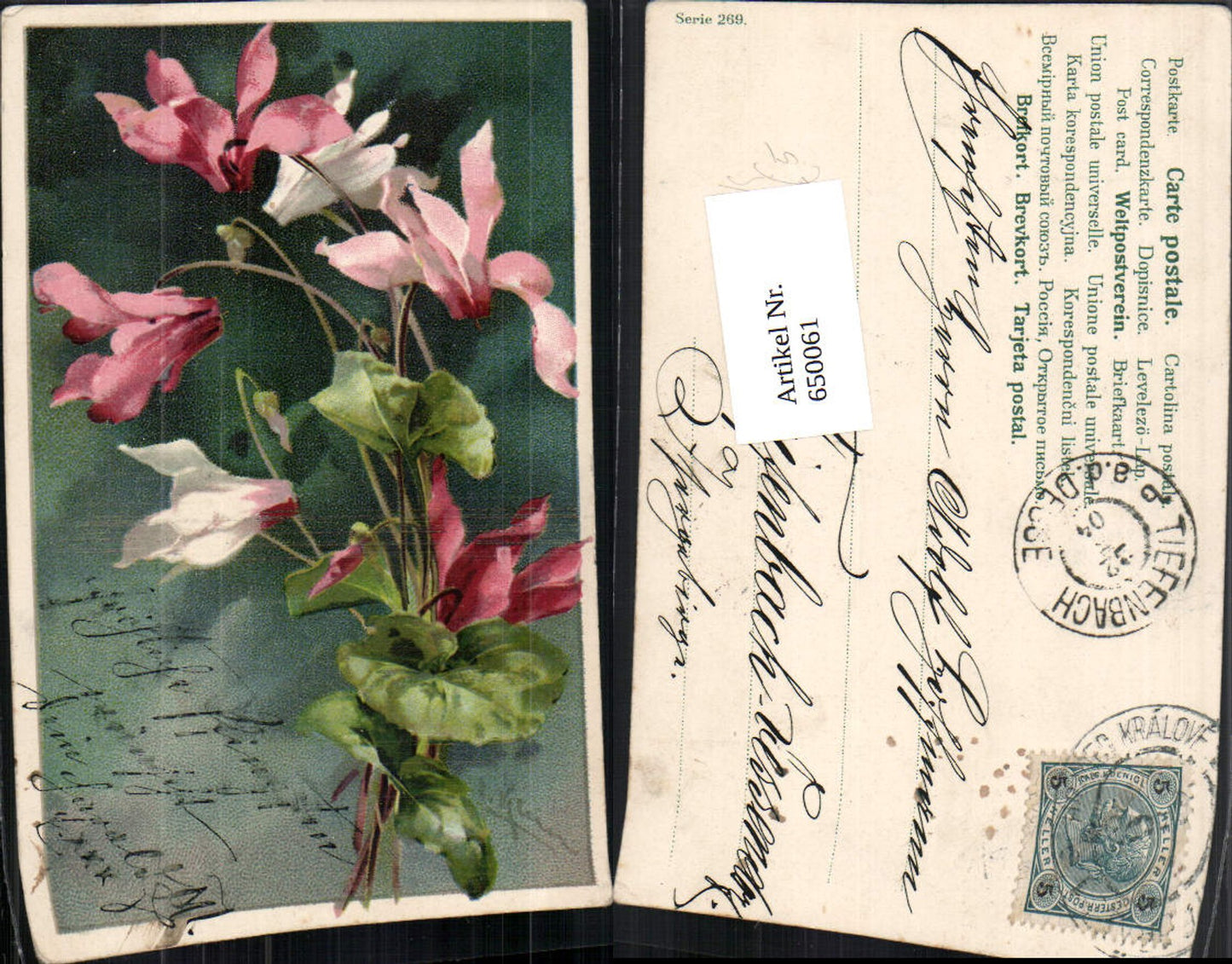650061, great artist AK Catharina Klein flowers
