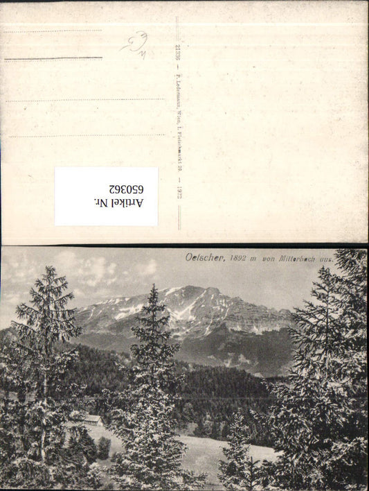 650362,Oetscher Ötscher v. Mitterbach am Erlaufsee aus