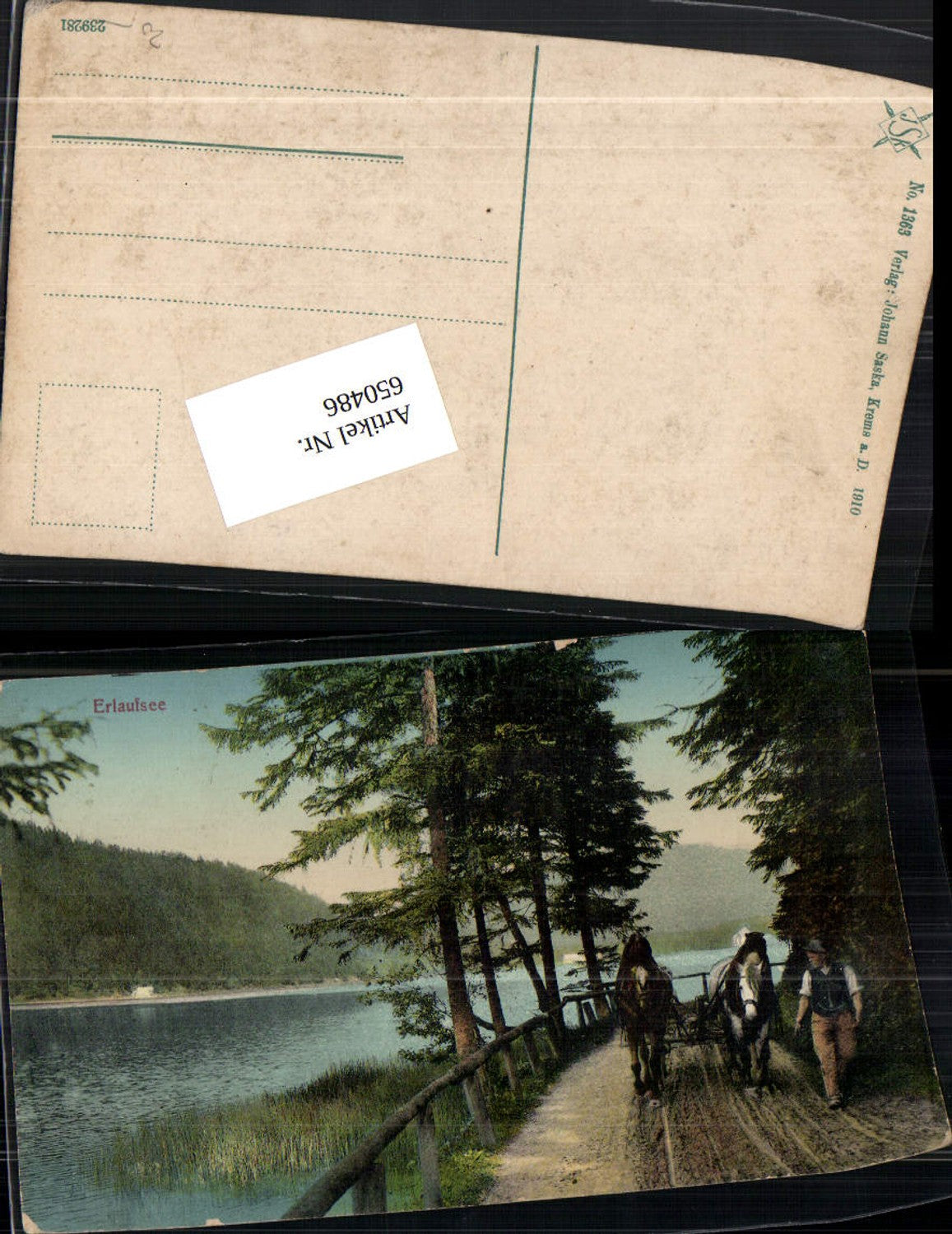 650486,Erlaufsee bei Mitterbach Maria Zell Mariazell Kutsche Pferdegespann
