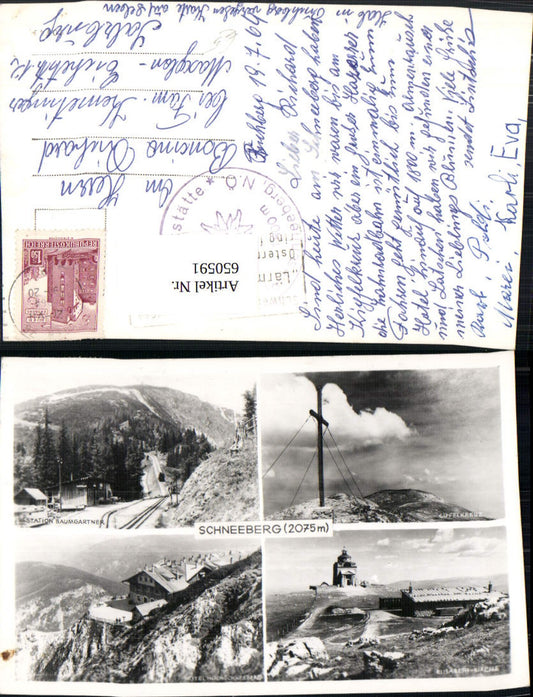 650591,Puchberg am Schneeberg Baumgartner Gipfelkreuz Hotel Hochschneeberg