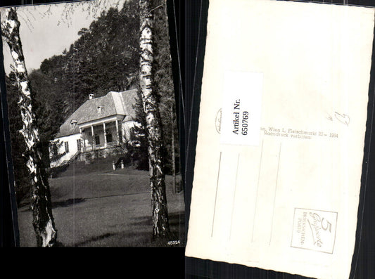 650769,Raimundvilla b. Bad Ischl Bäume Birken