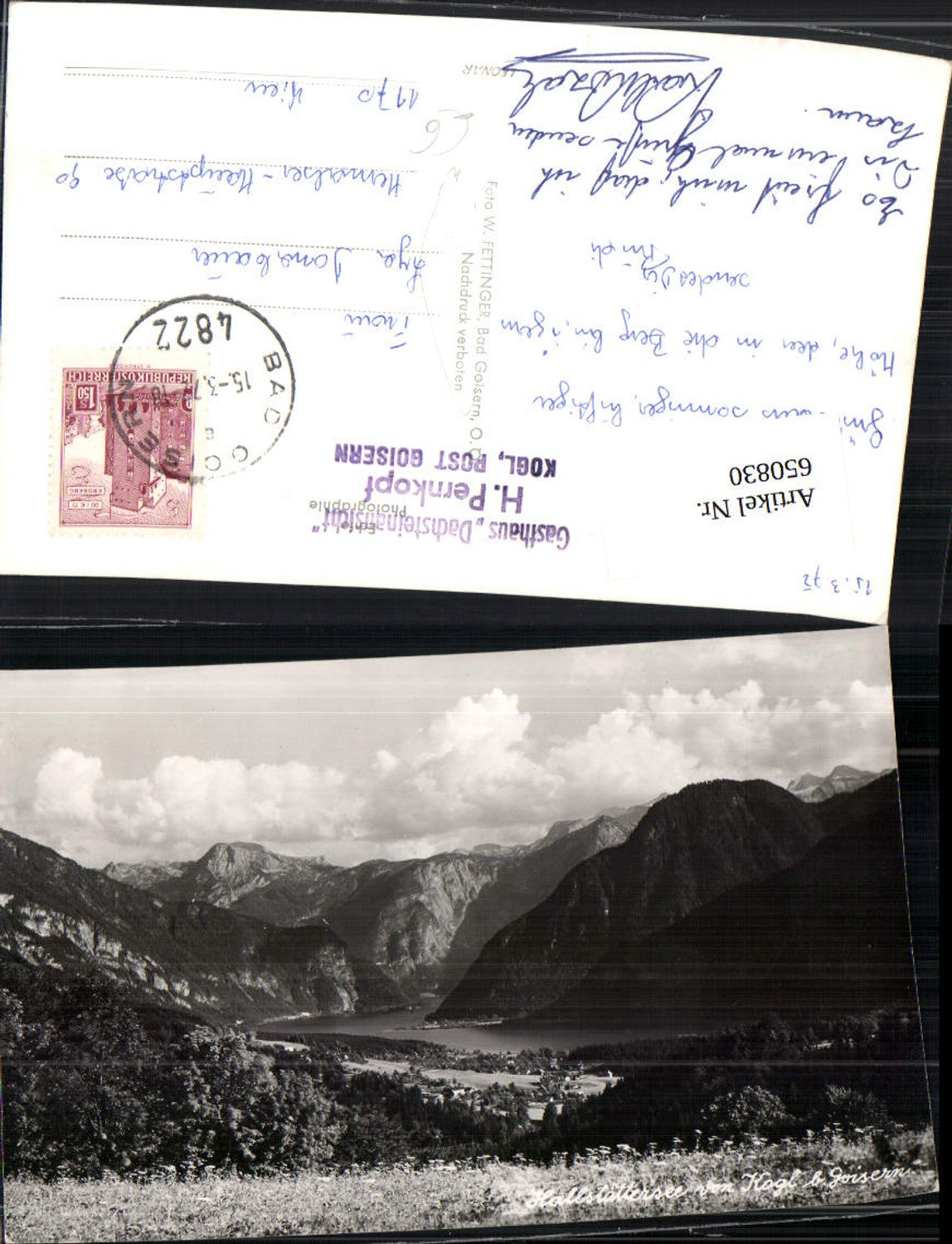 650830,Hallstättersee vom Kogl bei Goisern