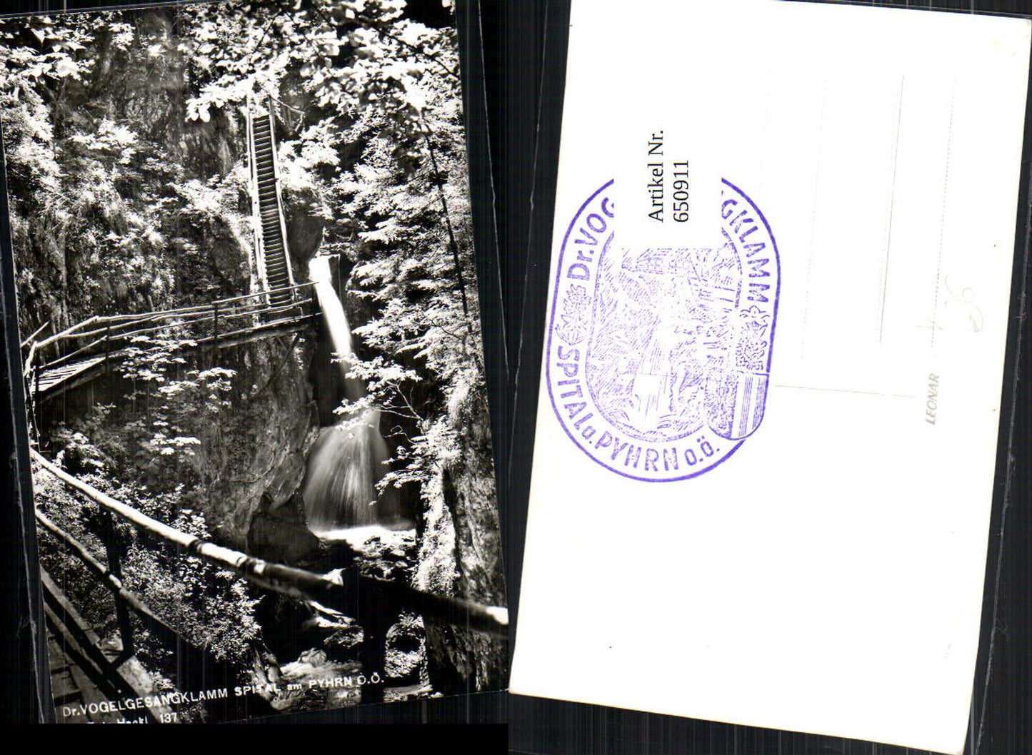 650911,Spital am Pyhrn Vogelsangklamm pub Foto Hackl 137