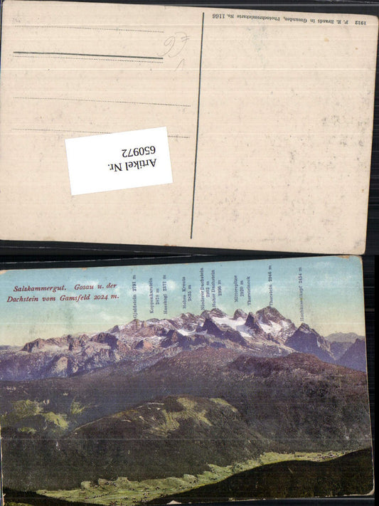 650972,Gosau m. Dachstein vom Gamsfeld pub F. E. Brandt 1166