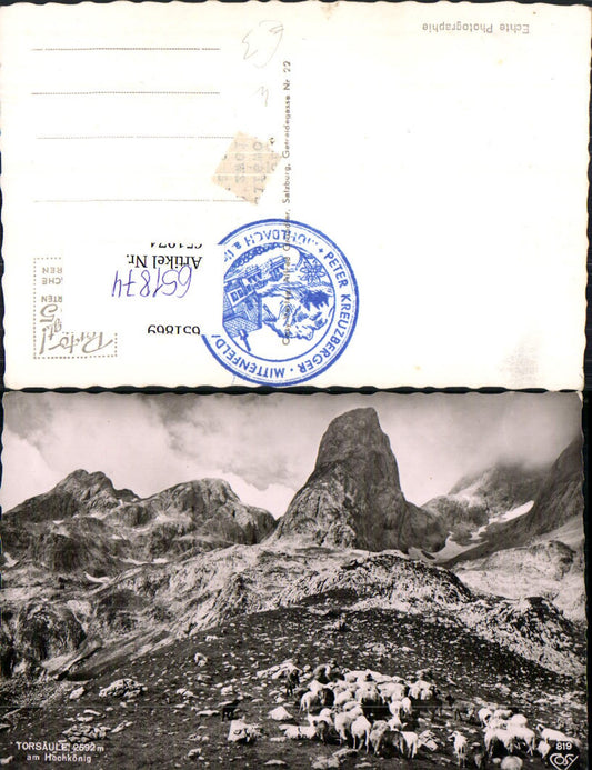 651874,Foto Ak Torsäule a. Hochkönig Mühlbach am Hochkönig Schafe