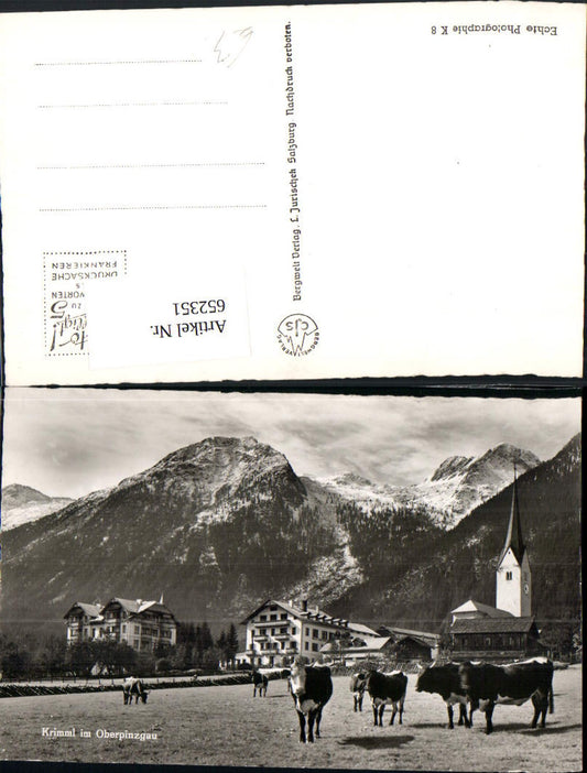 652351,Foto Ak Krimml im Oberpinzgau Kühe Rinder