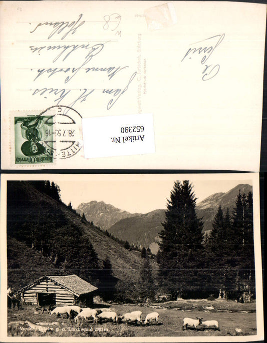 652390,Mittersill Vordere Ödalm g. d. Lärchwand Schafe