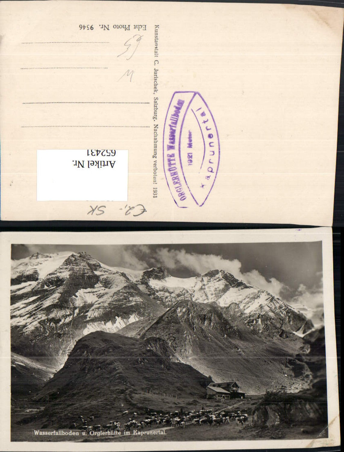 652431,Wasserfallboden u. Orglerhütte i. Kaprunertal Kaprun Rinder Kühe