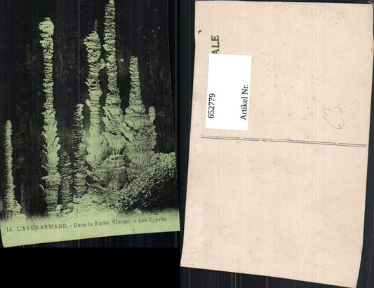 652779,L Aven-Armand Dans le Foret Vierge les Cypres Grotte