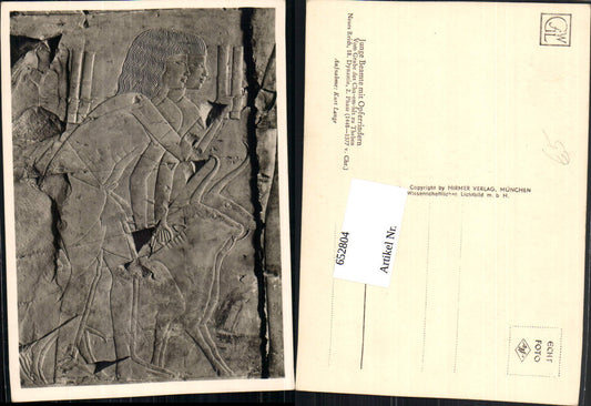 652804, Young official with sacrificial cattle, tomb, Thebes, Egypt