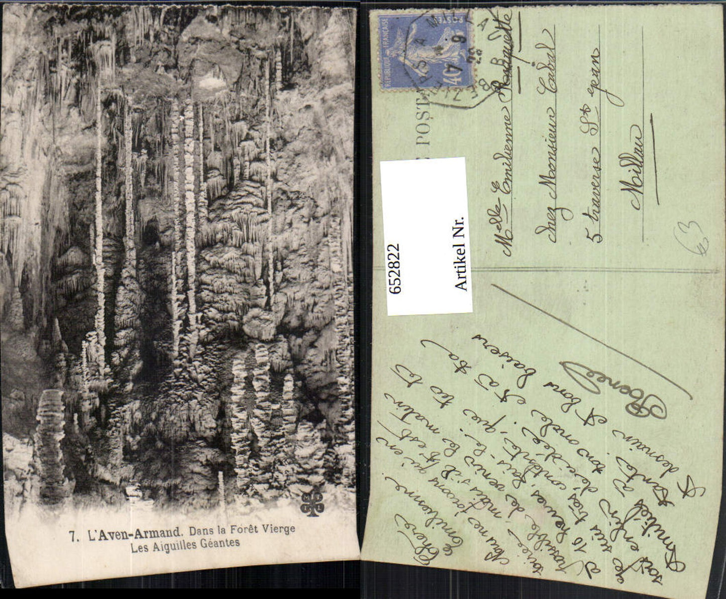 652822,L Aven-Armand Dans le Foret Vierge Les Aiguilles Geantes Grotte