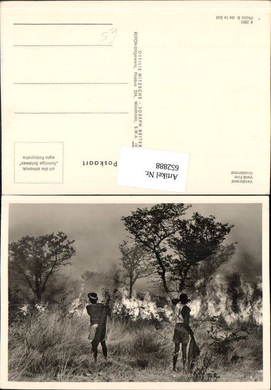 652888,Veldbrand Grass Fire Fire Fire Africa