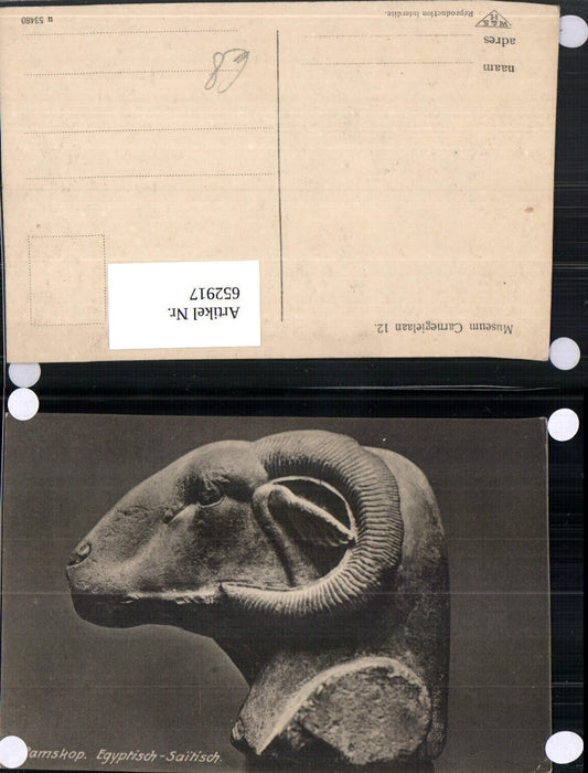 652917,Ramskop Egyptisch-Saitisch Steinkopf Ägypten Egypt