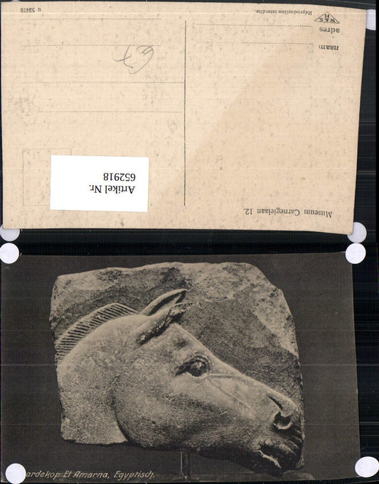 652918,Paardekop El amarna Egyptisch Egypt Ägypten