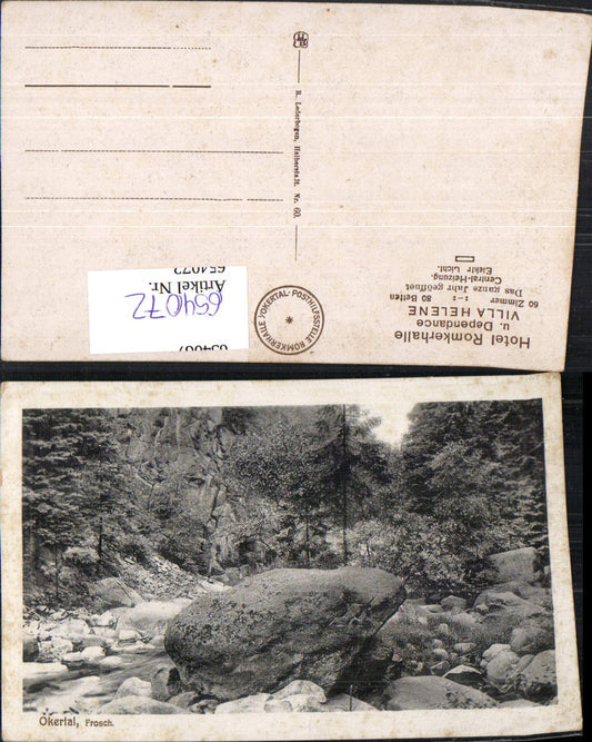 654072,Okertal Frosch GoslarHarz