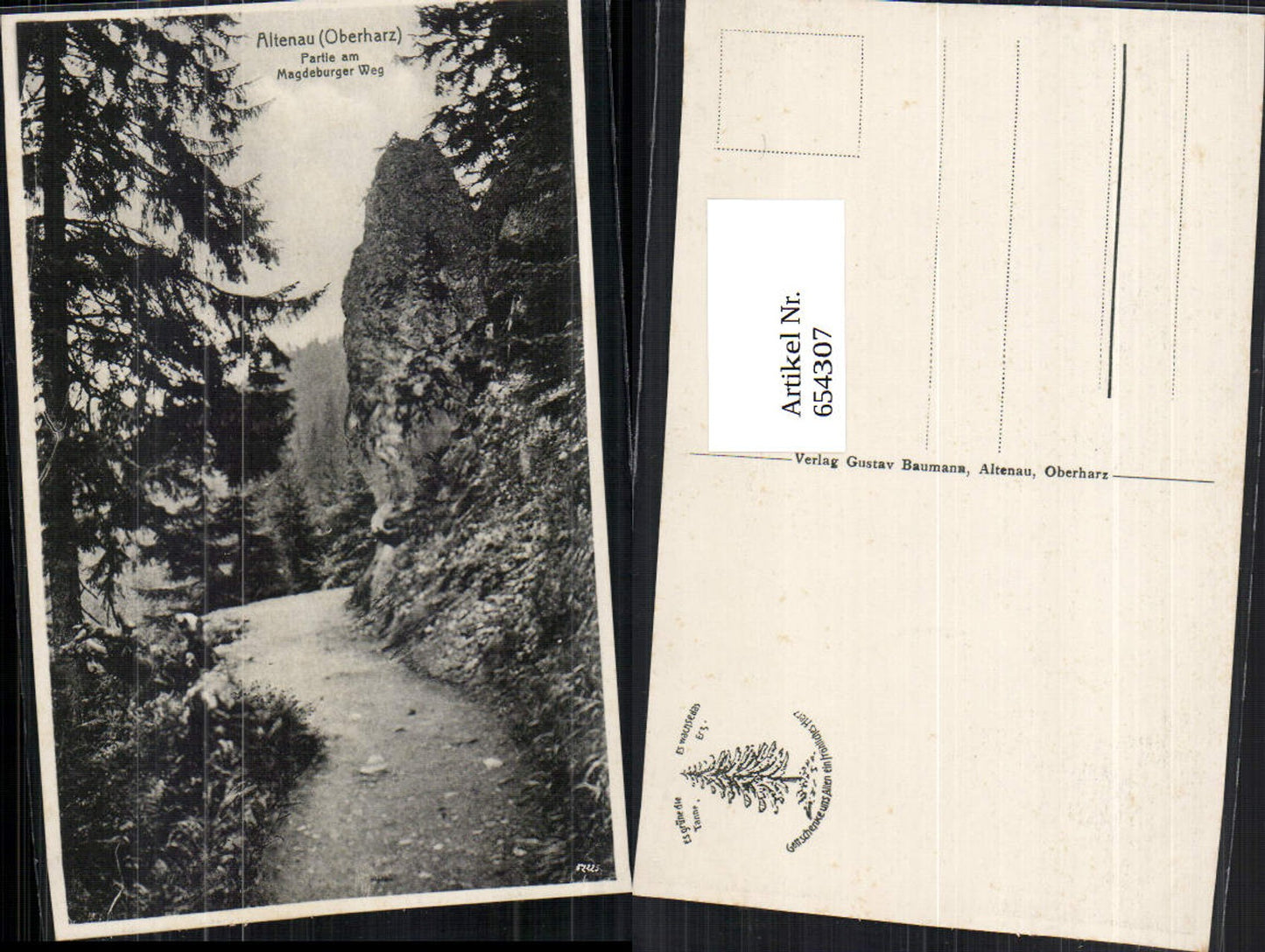 654307,Altenau Oberharz Partie am Magdeburger Weg Harz