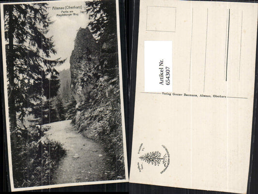 654307,Altenau Oberharz Partie am Magdeburger Weg Harz