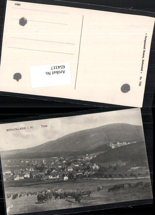 654317,Braunlage am Harz Kühe