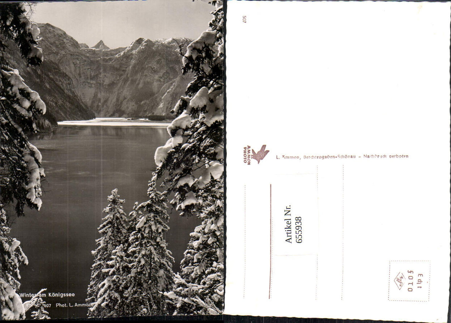 655938,Winter am Königssee Schönau a. Königssee