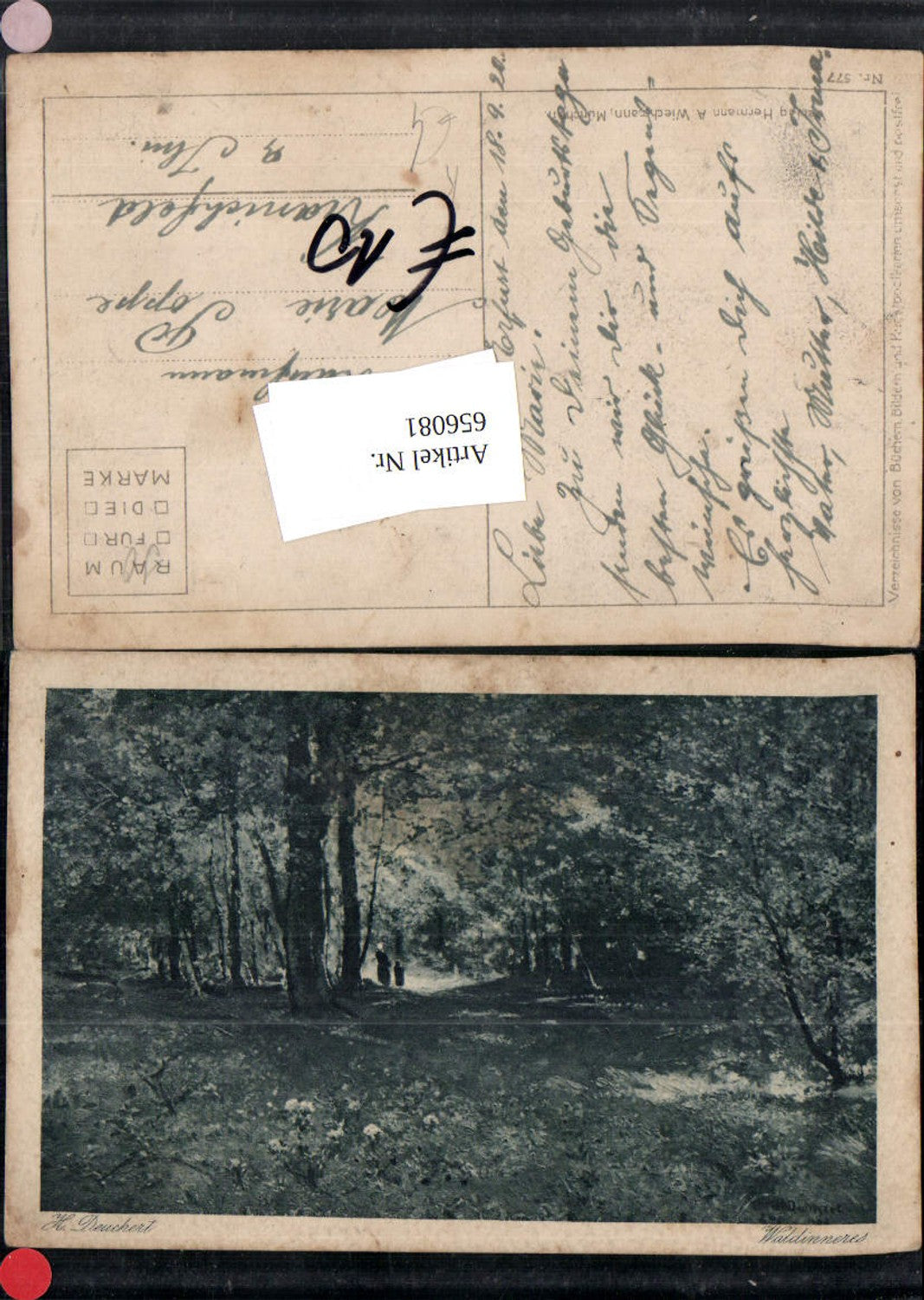 656081,Künstler Ak H. Deuchert Waldinneres Wald Bäume Landschaft