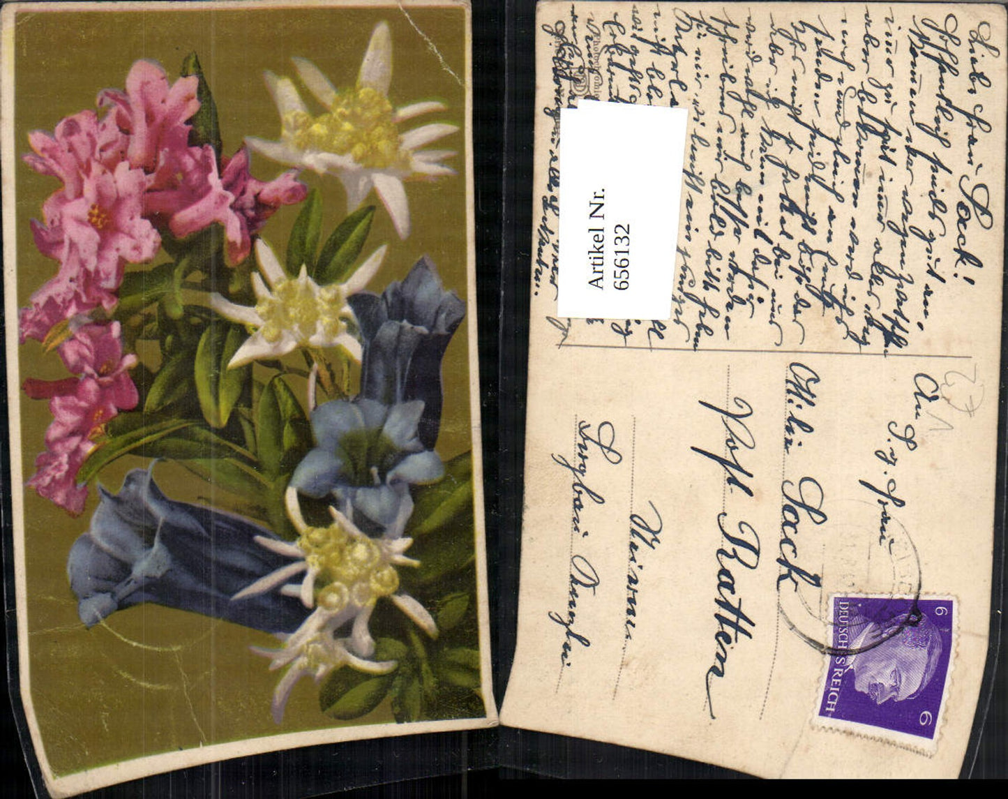 656132,Künstler Ak Alpenflora Edelweiß Enzian pub Ostermaier Nenke 2037